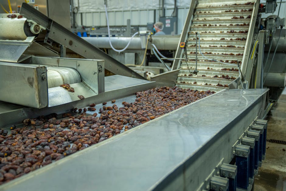 Conveyor Belt Tragedies: The 3-Second Window Every Food Processing Plant Misses