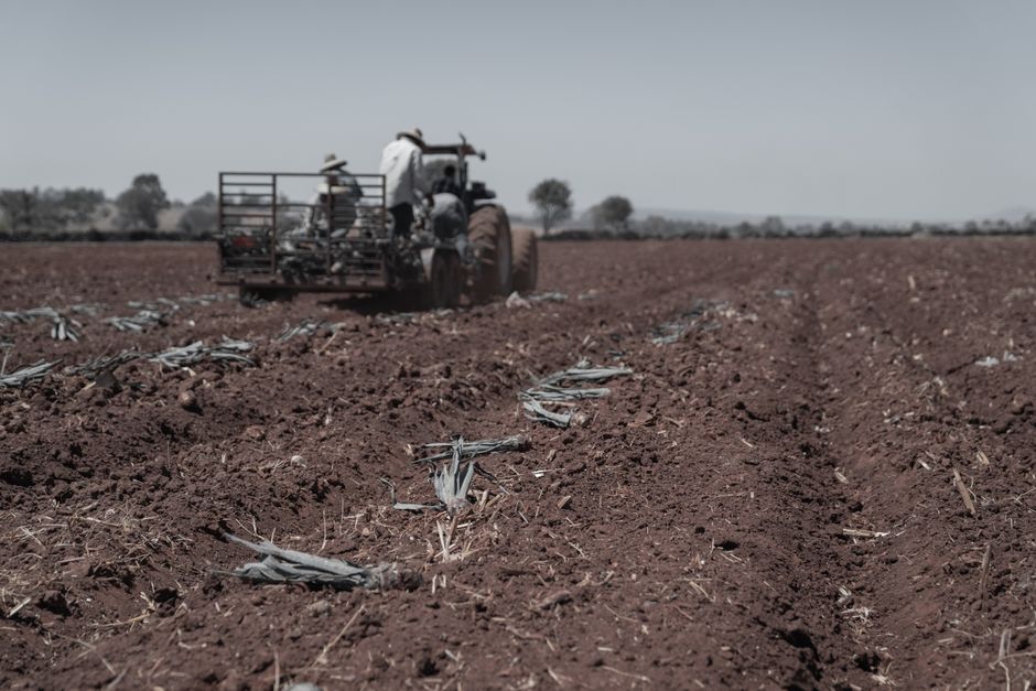 Why Farm Safety Training Isn't Optional Anymore.Even for Family Operations