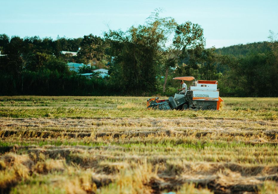 Why Your Farm's 'Near Miss' Today Could Be Next Year's Fatality: Learning From Tractor Accidents