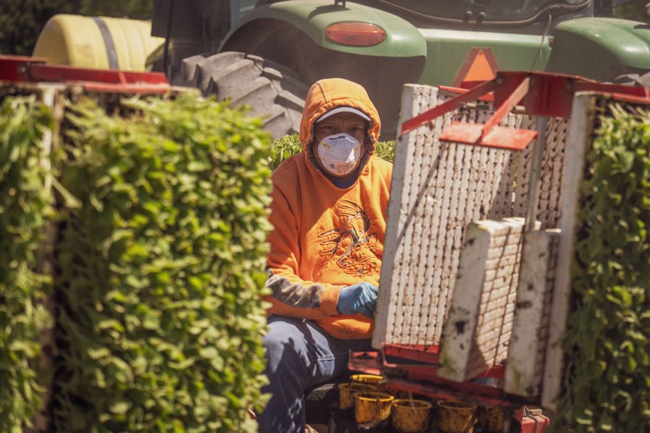 Why Your Farm's Risk Assessment Isn't Actually Protecting You (Yet)